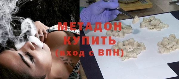индика Сатка